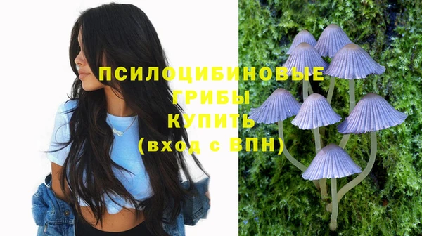 ГАЛЛЮЦИНОГЕННЫЕ ГРИБЫ Верея