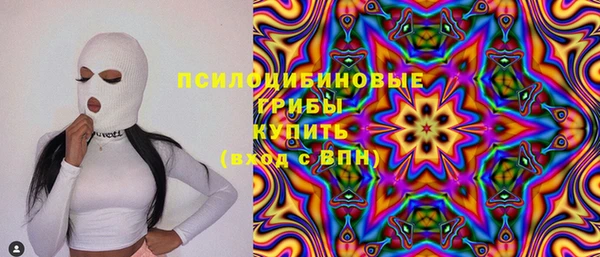 ГАЛЛЮЦИНОГЕННЫЕ ГРИБЫ Верея