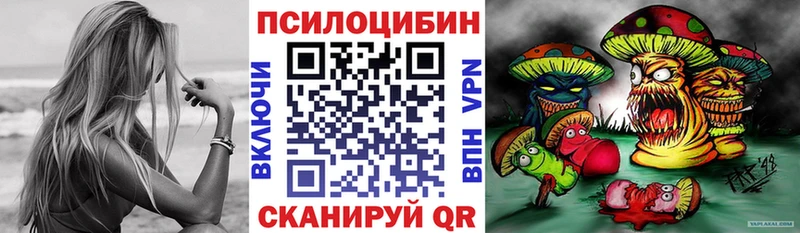 Галлюциногенные грибы прущие грибы где купить Абакан